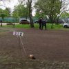 Vereinsmeisterschaft 2019